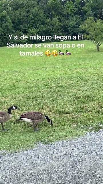 @jacquelin3s