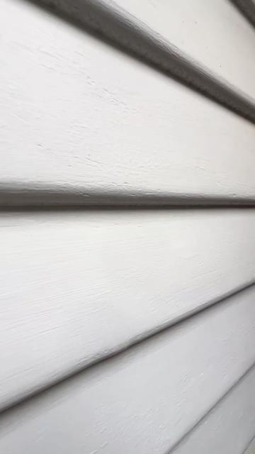 @womeninwhitepainters