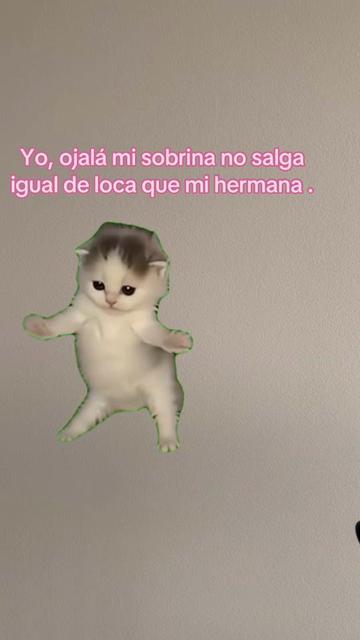 @sindyflores730