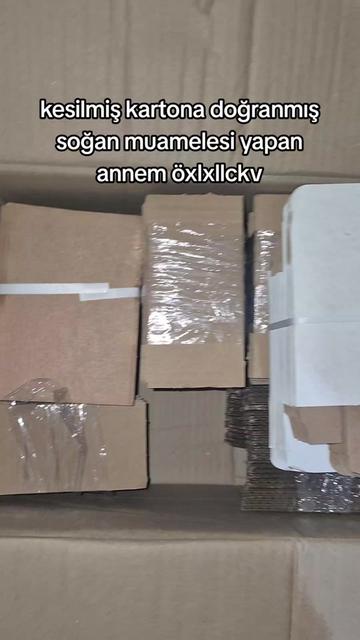 @SNur vers.