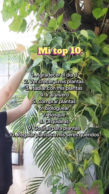 @Plantología🌿