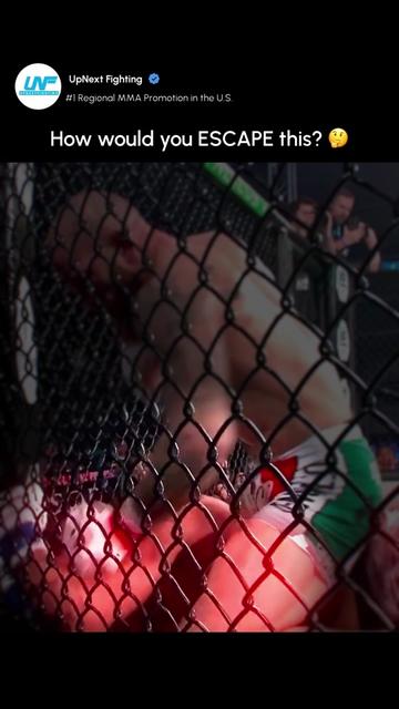 @UpNext Fighting