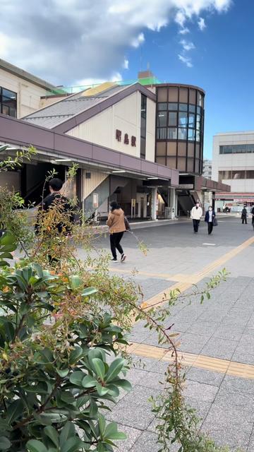 @カエルの日々