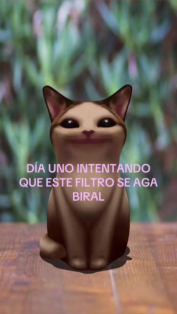 @Sofis
