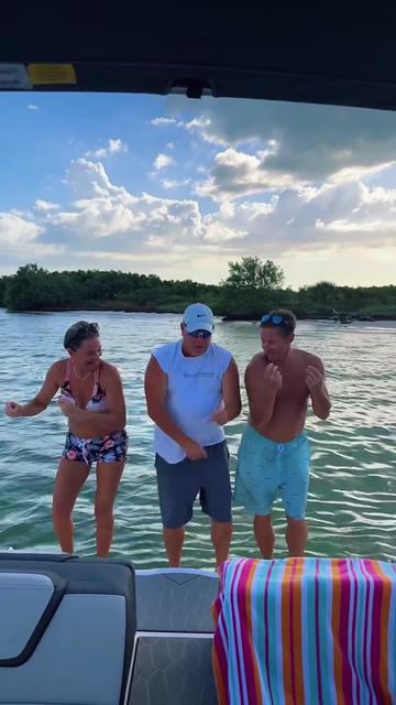 @Bill Island 🏝️