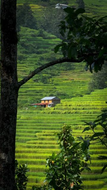 @Sudarshan Neupane