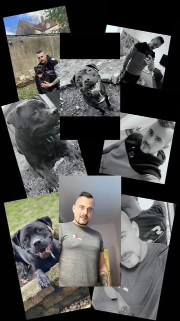 @AMSTAFF Mirco