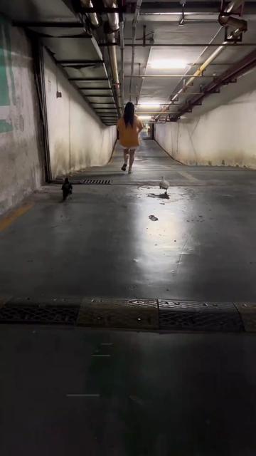 @影视剧无霸