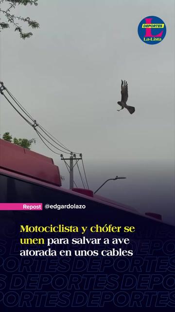 @La-Lista Deportes