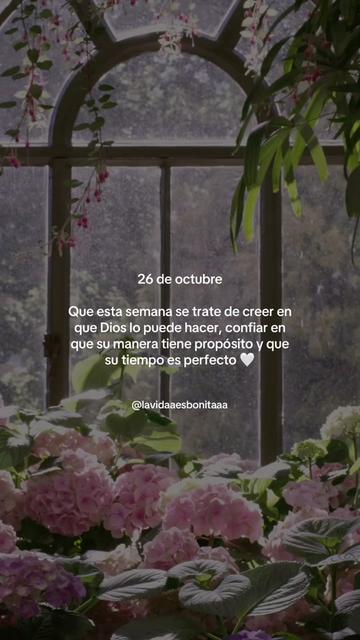 @vidabonita❤️🩹