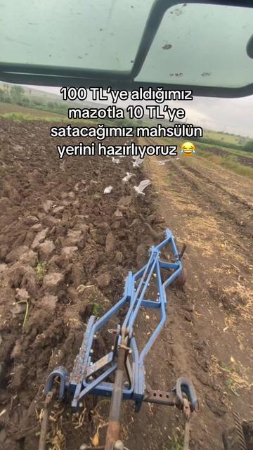 @gozde