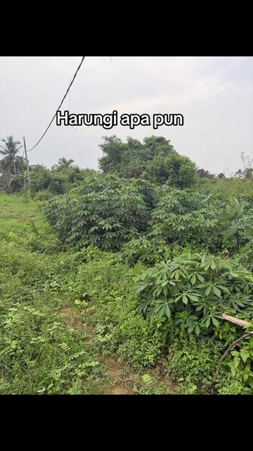 @rrgrowth