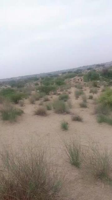 @BL Bhaljee Rathor