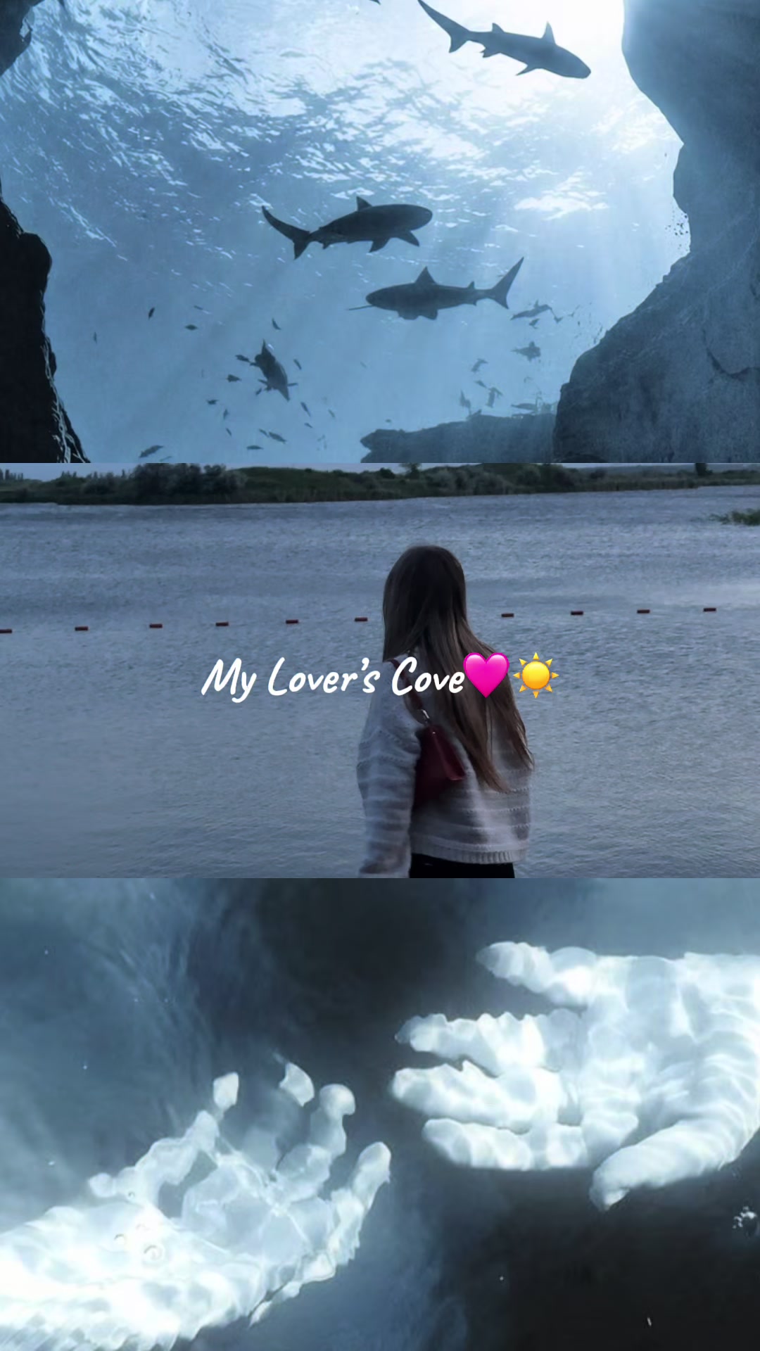 @&sdot;˚𝐚𝐧𝐢𝐭𝐚✮