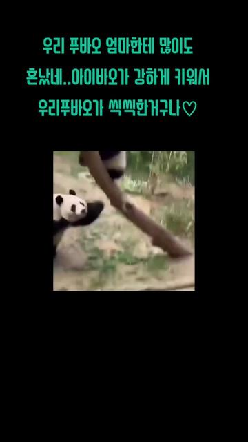 @반짝이는비니♡