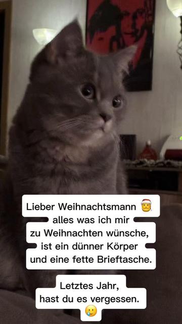 @Kirsten Ihde - Schnarr
