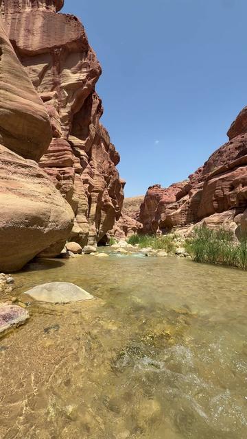 @Leen Wadi