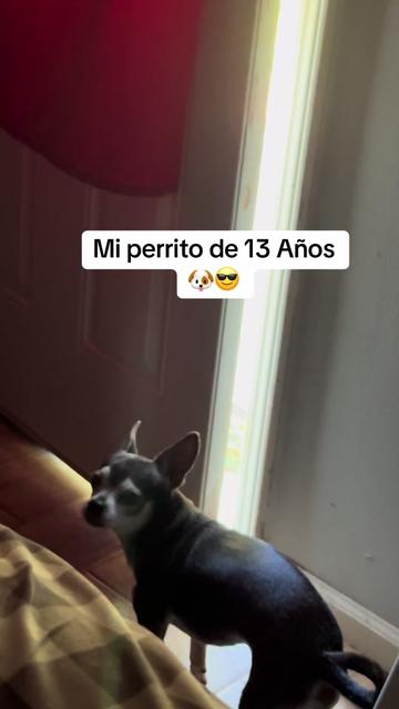 @Matti|C+B vlog🐶❤️