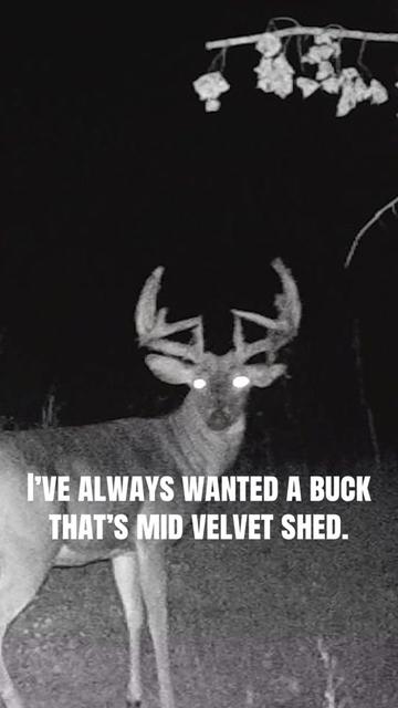 @Growing Wild