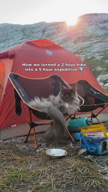 @Mugen the Maine Coon 🇨🇦