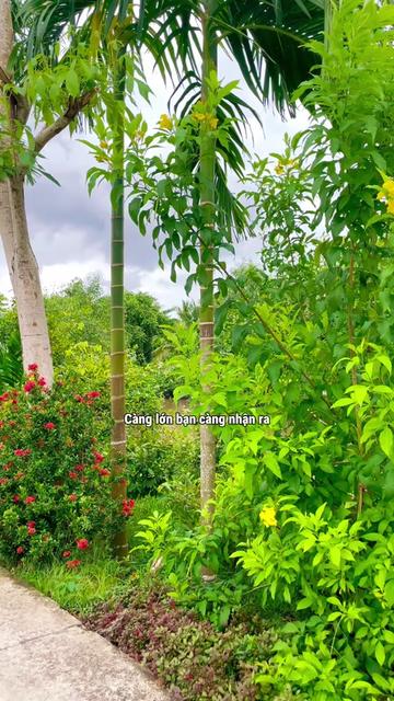 @Sống Chậm Lại