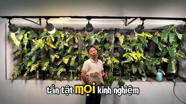 @Huy Kiểng Lá