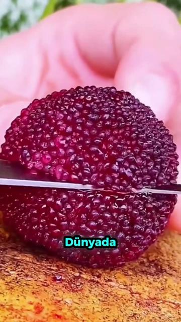 @beynegrafya