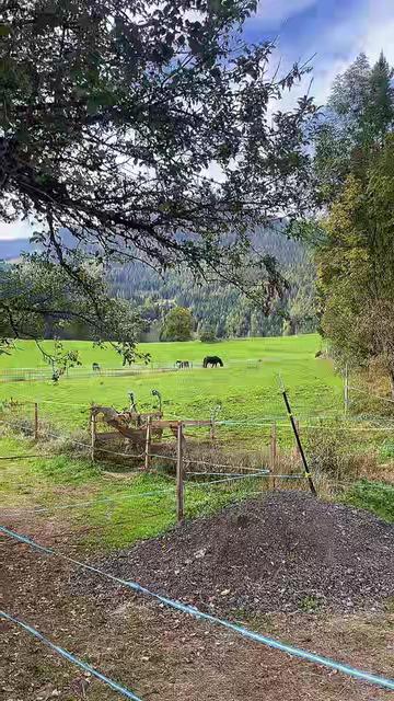 @Mountain Hill Ranch 🇦🇹