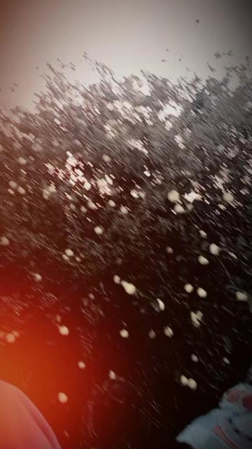 @muhaibkhan9696