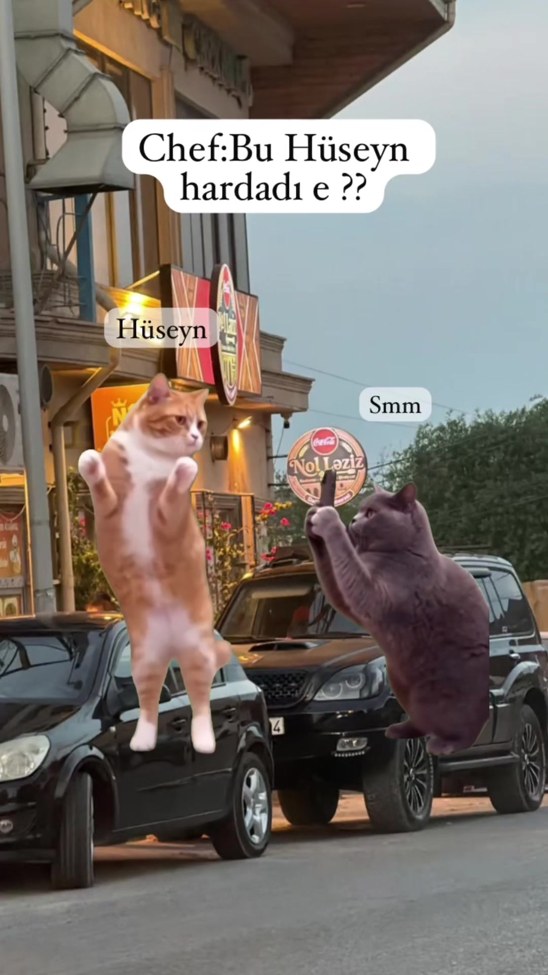 @N1_Leziz_Hokmeli