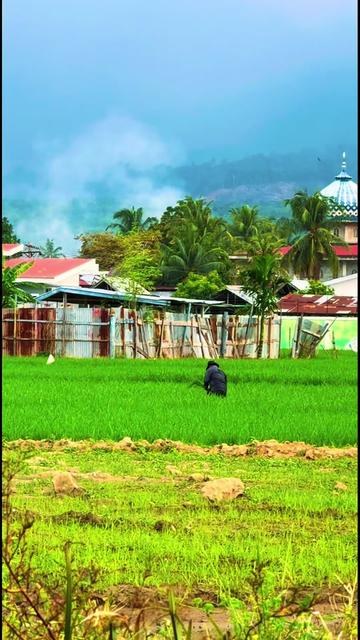 @Abana Tauthiah