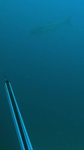 @straighthookers
