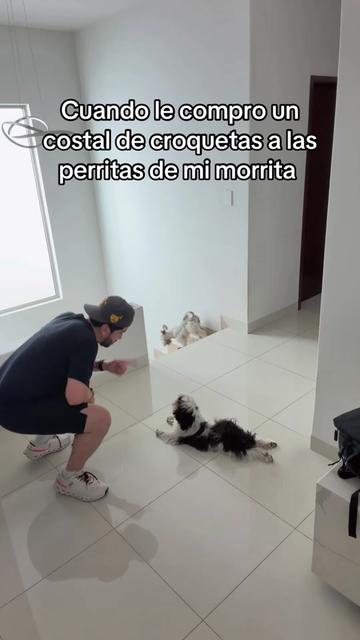 @Ozzbala