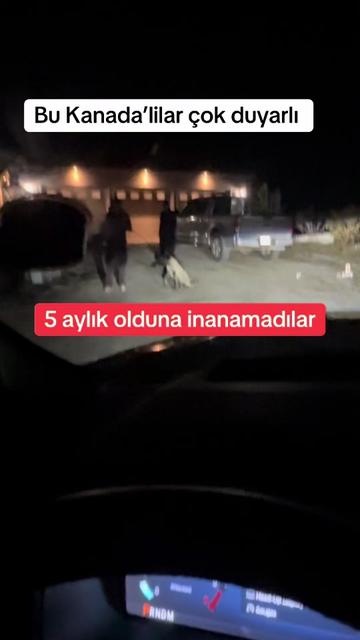 @iLKER🇹🇷ÇETiN🇨🇦