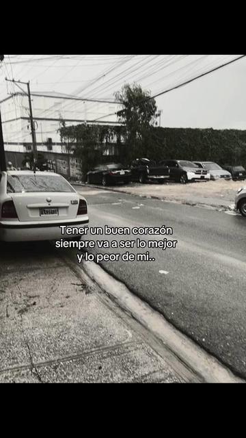 @Moquito 🦟👣