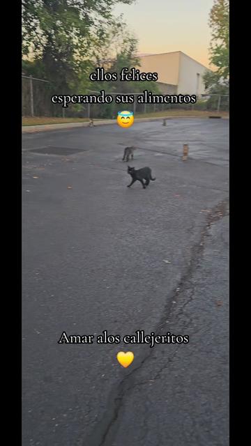@🇲🇽Guli.Carrada 🐈⬛
