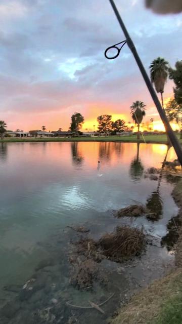 @Luu Nguyen Fishing