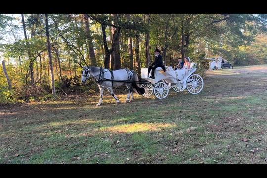 @southerncharmcarriages