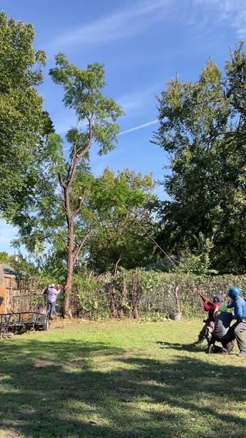 @Live Oak Tree Service