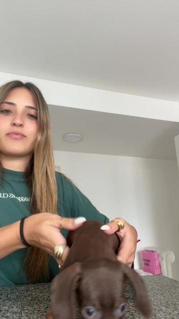 @Luni Demarco <3