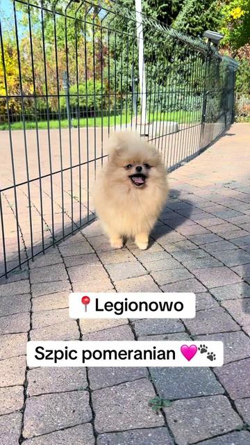 @Ulybki_lilu