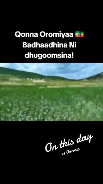 @Shimallis Abdisa Parody
