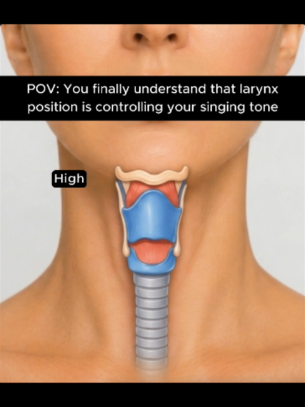 @singing.visual.learners