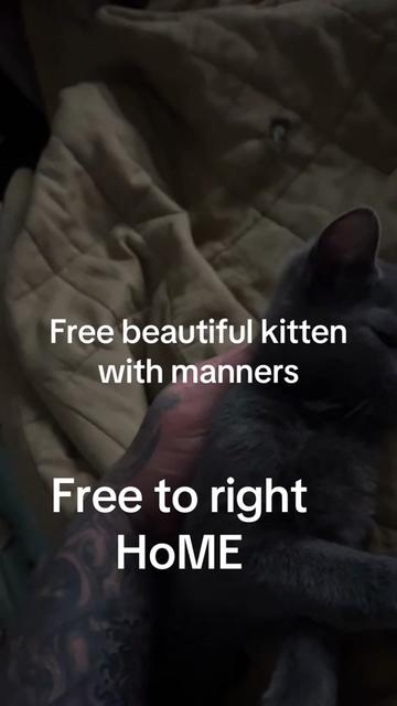 @PopRich336
