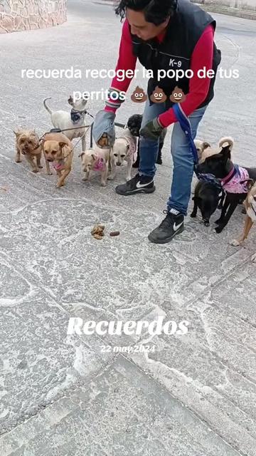 @DogWalkZacatecas♥️🐕🦺🌟