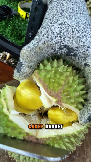 @CICIP DURIAN