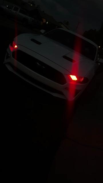 @5.0 Snowyy