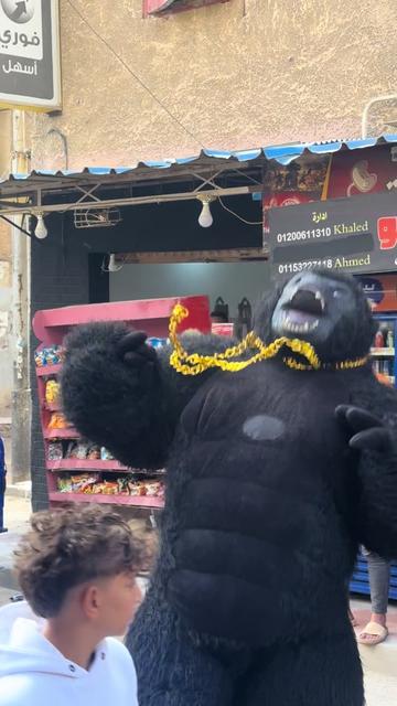 @بودا بتاع غوريلا🦍🔥