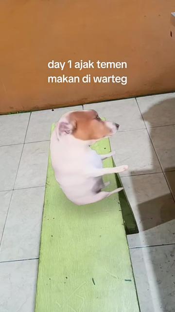 @vennnnnnn