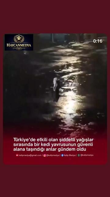 @HAYCAN MEDYA 🌐✔️